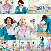stock photo of sports  - Collage of sporty females doing physical exercises in sport gym - JPG 