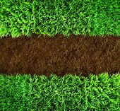 foto of earth  - Short green grass and brown earth Background - JPG 