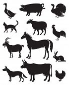 stock photo of animals  - monochrome illustration of twelve farm animals - JPG 