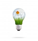 stock photo of inside  - light bulb with beautiful flower inside - JPG 