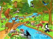 pic of animals  - forest animals coming to drink water - JPG 