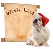 image of english  - pet christmas wish list  - JPG 