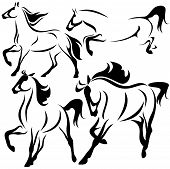 image of horse  - vector set of black and white horses - JPG 