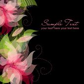 stock photo of black  - Pink Flowers on black Background - JPG 