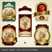 image of food  - vector labels - JPG 