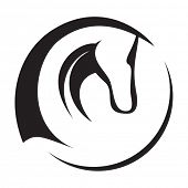 image of horse  - A silhouette drawing of a horse head - JPG 