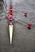 foto of sculling  - Rowing - JPG 
