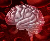 picture of vein  - Brain blood circulation as cells flowing through veins and human circulatory system representing a medical health care symbol relating to stroke or neurology issues - JPG 