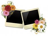 pic of  photo  - photo frame  and flowers - JPG 
