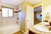 picture of interior  - New bathroom interior with cherry sink cabinet and white tub - JPG 
