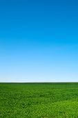 picture of blue sky  - beautiful landscape - JPG 