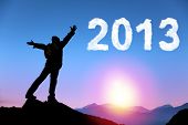 picture of future  - happy new year 2013 - JPG 