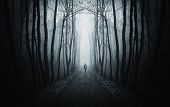 stock photo of man  - man walking in a dark forest passing into a fantasy worlds - JPG 
