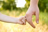 foto of children  - trust family hands of child son and father on wheat field nature outdoor - JPG 