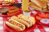 foto of food  - Hot dogs hamburgers and other picnic food - JPG 
