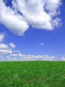 pic of blue sky  - A Blue sky and green meadow background - JPG 