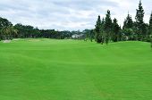 stock photo of golf  - Golf course photo for with green filed - JPG 