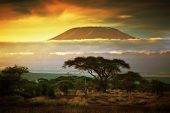 picture of outdoor  - Mount Kilimanjaro and clouds line at sunset - JPG 