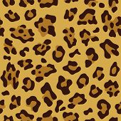 pic of animals  - Seamless tiling animal print leopard vector illustration - JPG 