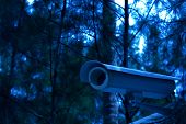 picture of security  - security camera on the fence next to the jungle in night time - JPG 