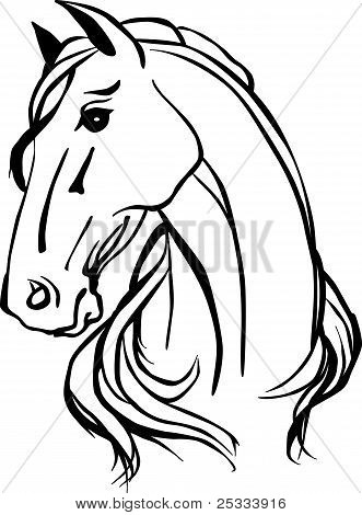 Picture or Photo of Simple black and white drawing of horse head