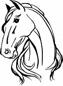 stock photo of horse  - Simple black and white drawing of horse head - JPG 
