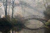 foto of bridge  - Old bridge in misty autumn park - JPG 