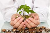 stock photo of investment  - Businessman holding plant sprouting from a handful of coins  - JPG 