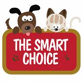 pic of dog  - Isolated cat and dog holding a sign - JPG 