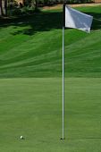 picture of golf  - A golf green with a ball closing on the hole - JPG 