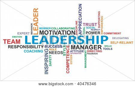 Picture or Photo of A word cloud of leadership related items