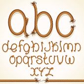 picture of cord  - Rope Font - JPG 