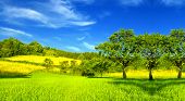 stock photo of blue sky  - Summer landscape - JPG 