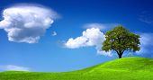 foto of blue sky  - Green landscape panorama - JPG 