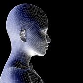 picture of wireframe  - High resolution concept or conceptual 3D wireframe human female head isolated on black background as metaphor for technology - JPG 