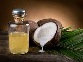 stock photo of nature  - natural coconut walnut oil - JPG 