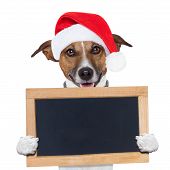 image of animals  - christmas banner placeholder dog wood board holding - JPG 