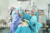 picture of medical doctors  - Medical team performing an operation  - JPG 