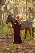 picture of horse  - beautiful woman in medieval dress with horse in forest - JPG 