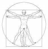 image of da-vinci  - Illustration based on Leonardo da Vinci - JPG 