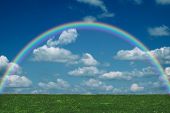 picture of blue sky  - flower field and blue sky with rainbow - JPG 