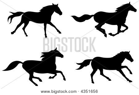 Picture or Photo of Abstract vector illustration of running horses silhouette