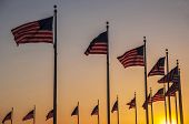 picture of sunset  - Falgs around the base of the Washingont Monument at sunset - JPG 