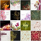 pic of nature  - floral background - JPG 