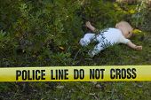 foto of dead-line  - Crime scene in the forest - JPG 