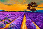 picture of nature  - Original oil painting of lavender fields on canvas - JPG 