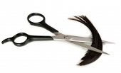picture of pieces  - Pieces of hair cut with scissors isolated on white - JPG 
