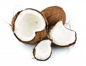 pic of food  - Coconut cocos cut isolated on white background - JPG 