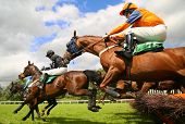 picture of horse  - national hunt race horses jumping hurdle at speed
 - JPG 