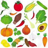 foto of food  - Colorful and Cute vector Icons  - JPG 